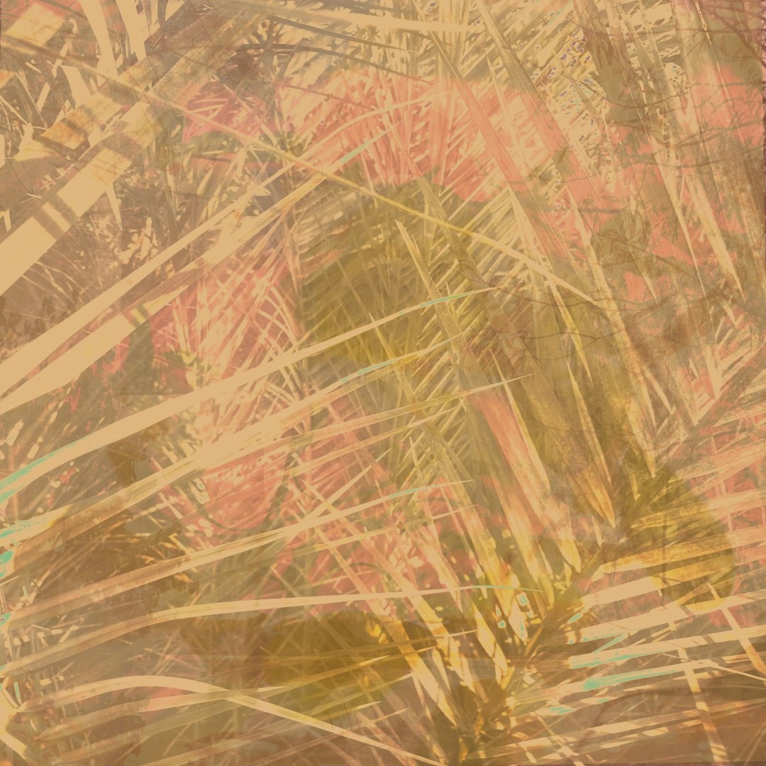 Anum Farooq Digital Art