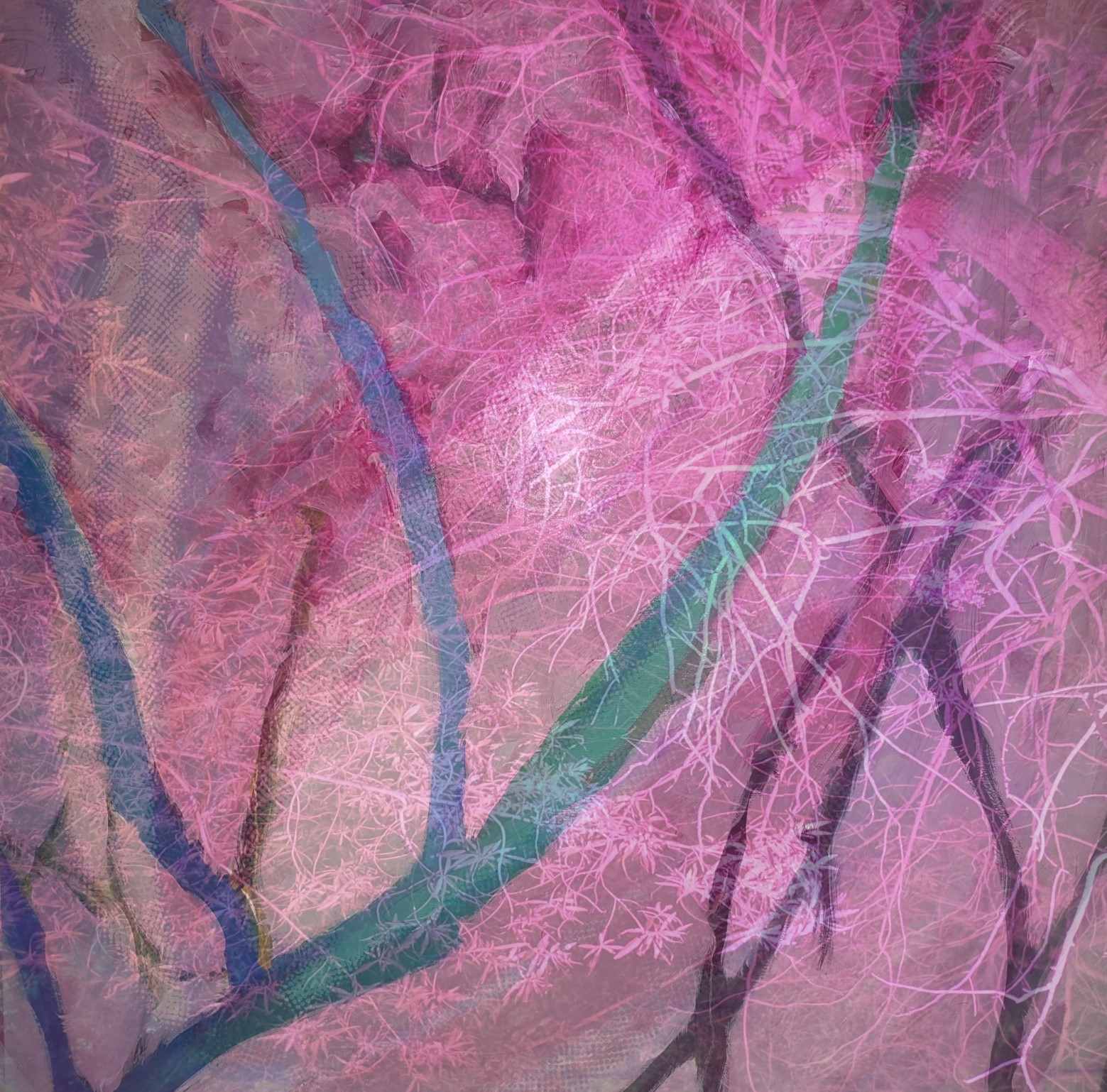 Anum Farooq Digital Art