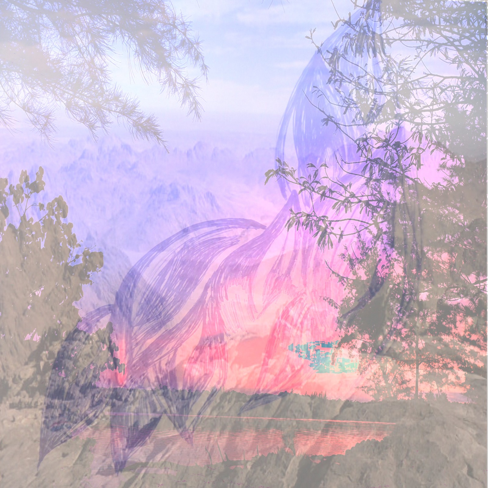 Anum Farooq Digital Art