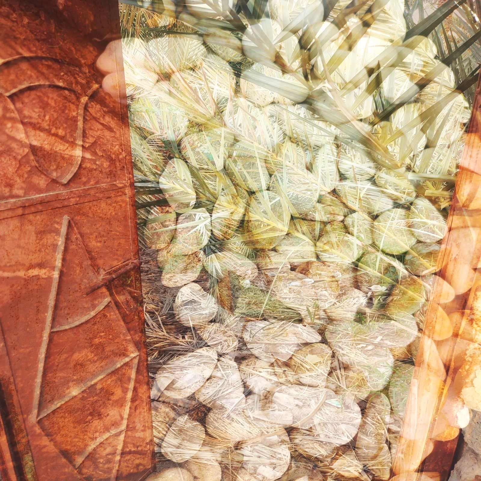 Anum Farooq Digital Art