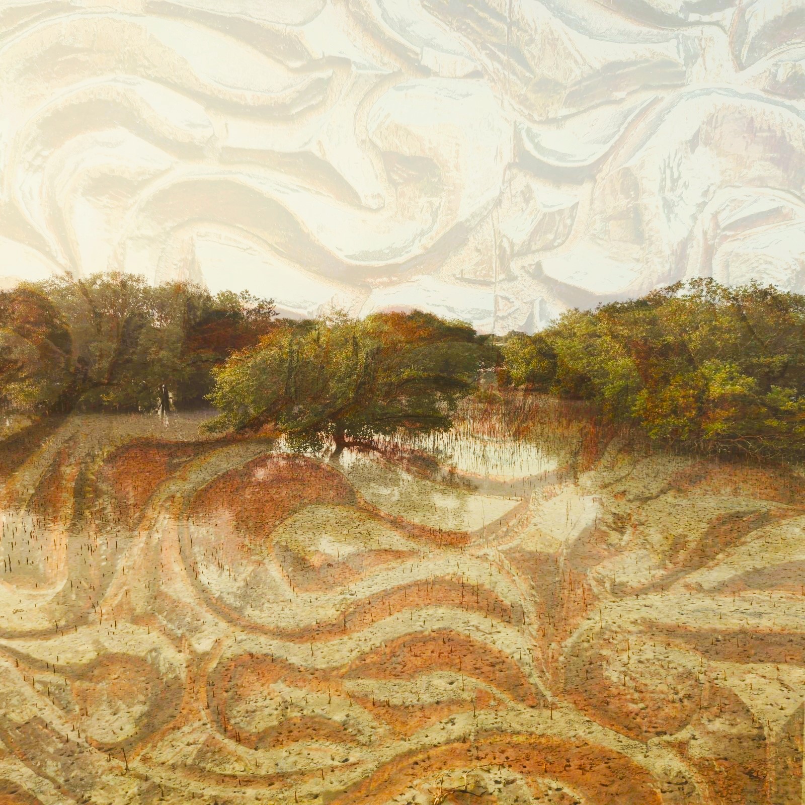 Anum Farooq Digital Art