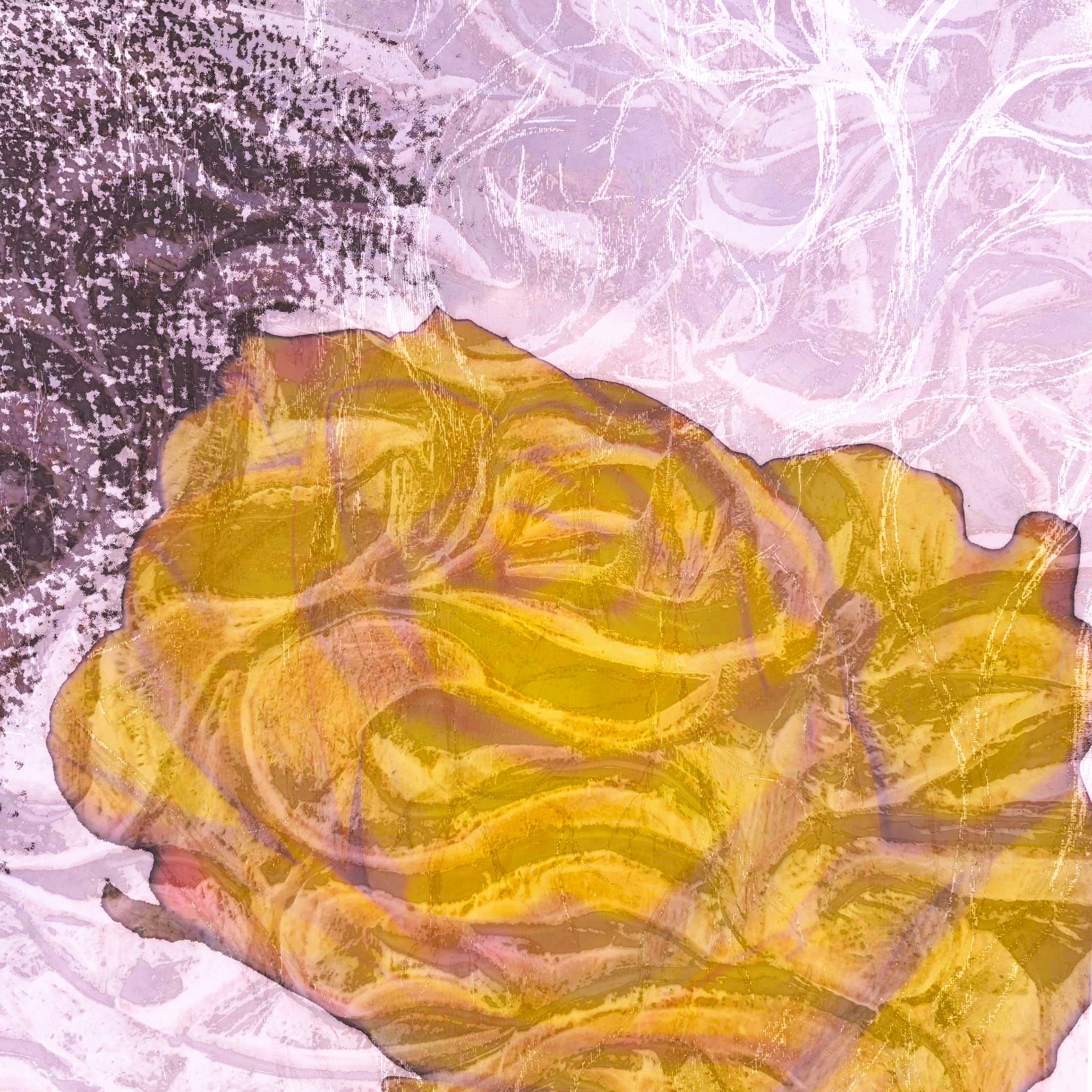 Anum Farooq Digital Art