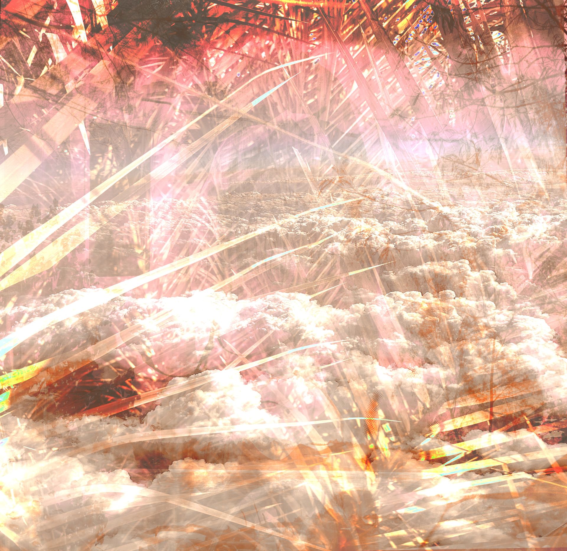 Anum Farooq Digital Art