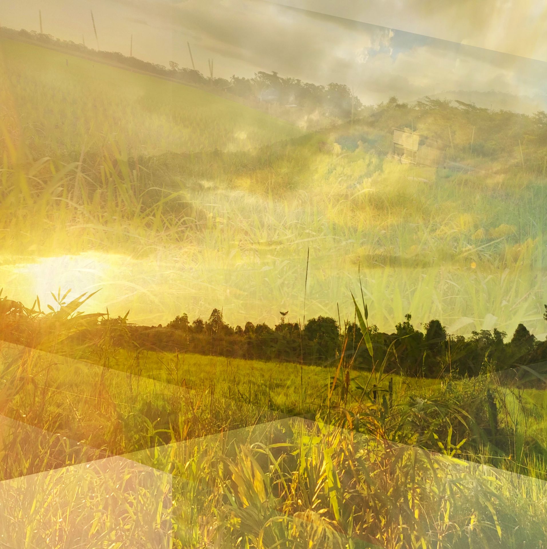 Anum Farooq Digital Art