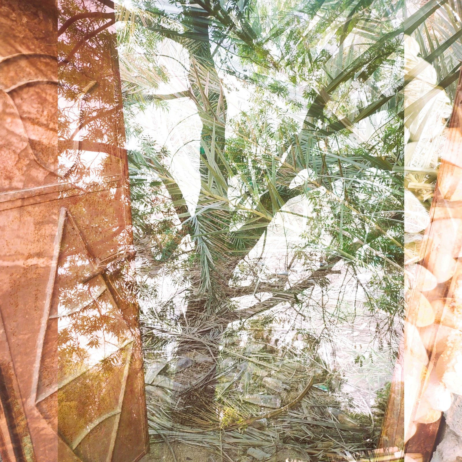 Anum Farooq Digital Art